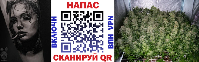 Наркошоп купить КОКАИН  МЕФ  ГАШ  Мезень