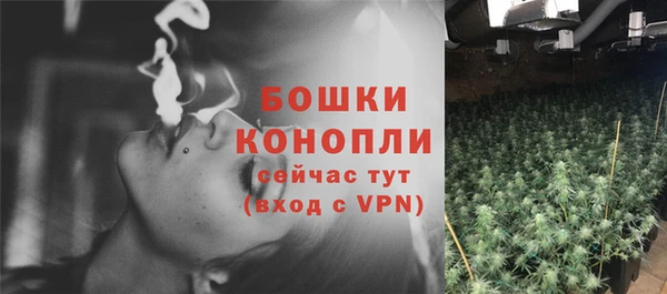 гашик Инта