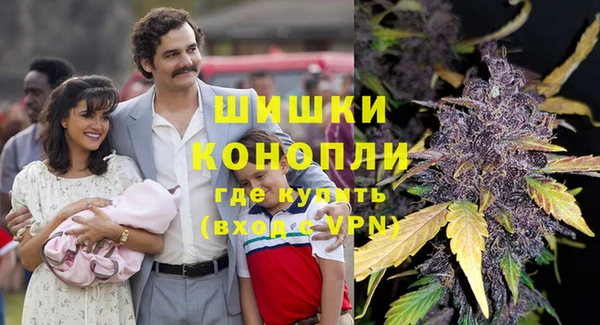 гашик Инта