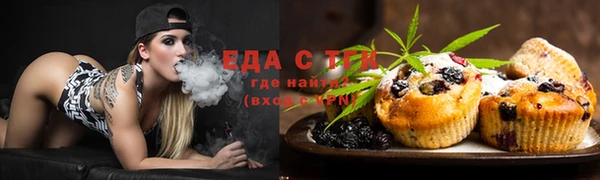гашик Инта