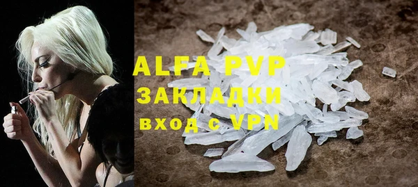 гашик Инта