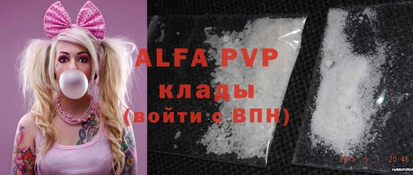 эйфоретик Инсар
