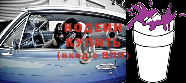 гашик Инта