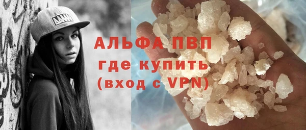 гашик Инта