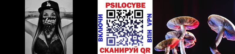 Псилоцибиновые грибы Magic Shrooms  Купить закладки  Мезень 